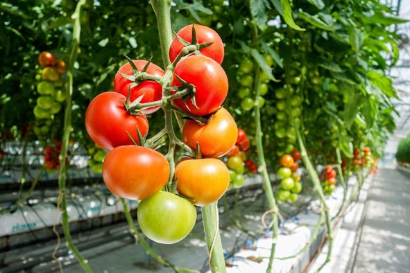 专业团队，贴心服务